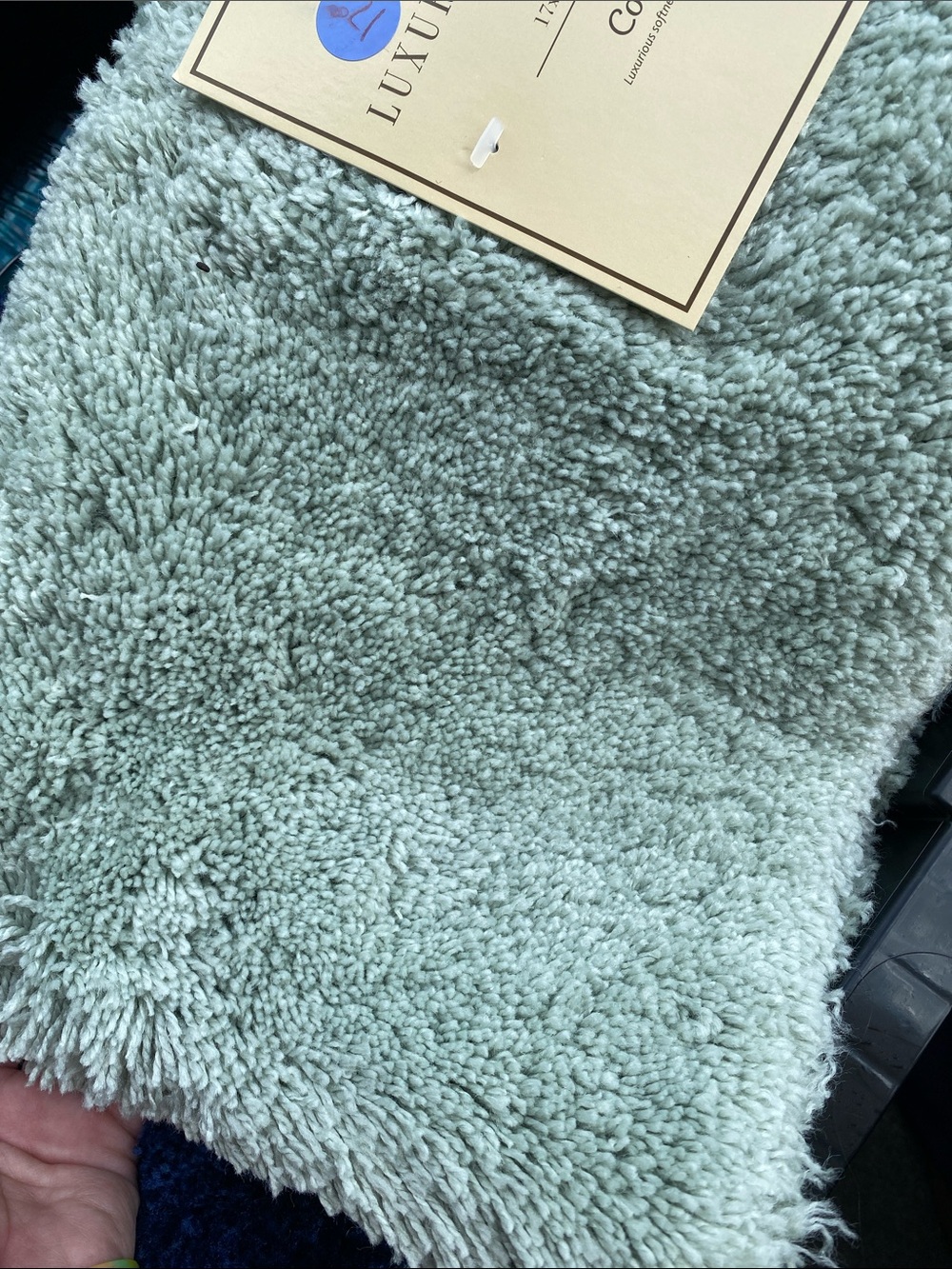 Luxury Collection Sage Bath Rug - 17x 24